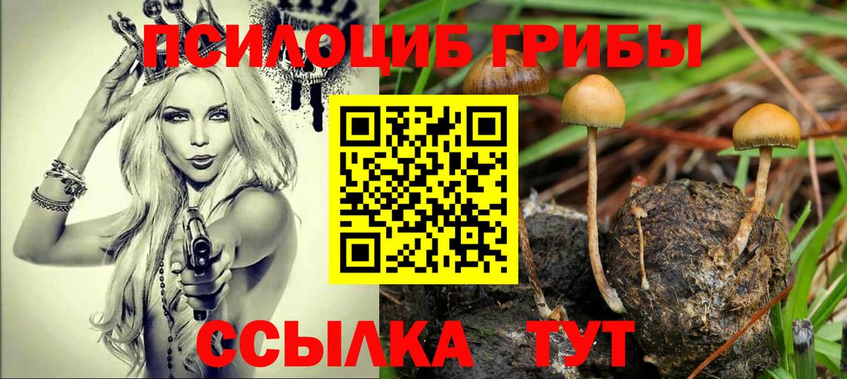 Галлюциногенные грибы Magic Shrooms Муром