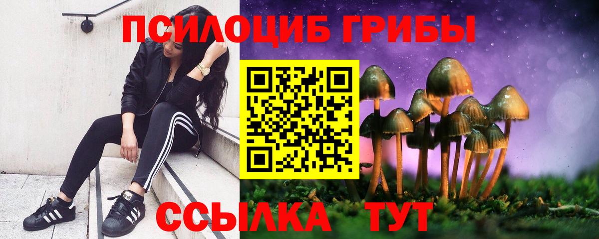 Галлюциногенные грибы Cubensis  наркота  Вход с VPN  Муром  Галлюциногенные грибы ЛСД 